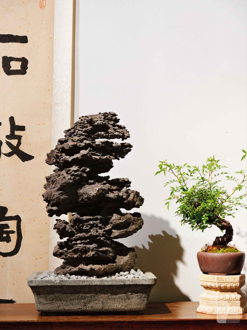 “苍龙” 英石立峰清供